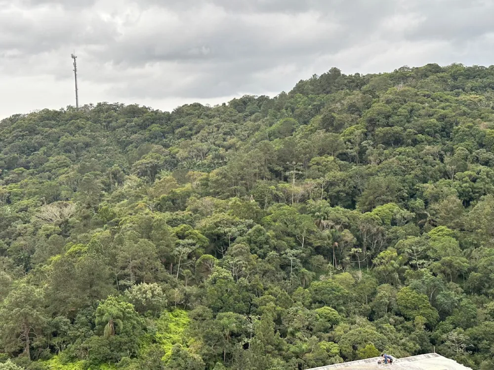 Apartamento 3 quartos para venda no bairro Pioneiros em Balneário Camboriú