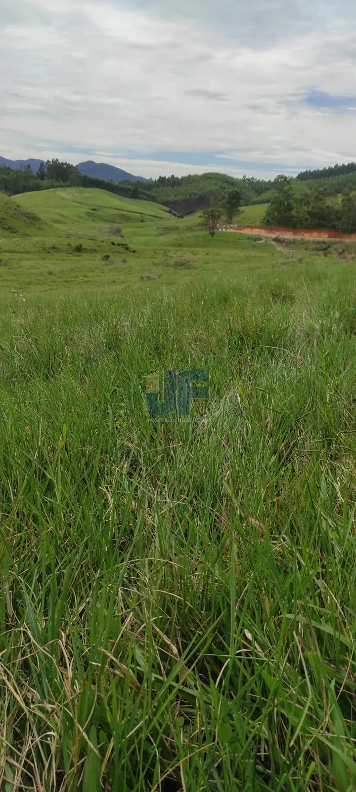 EXCELENTE FAZENDA A VENDA EM IMARUI LITORAL SUL DE SANTA CATARINA.