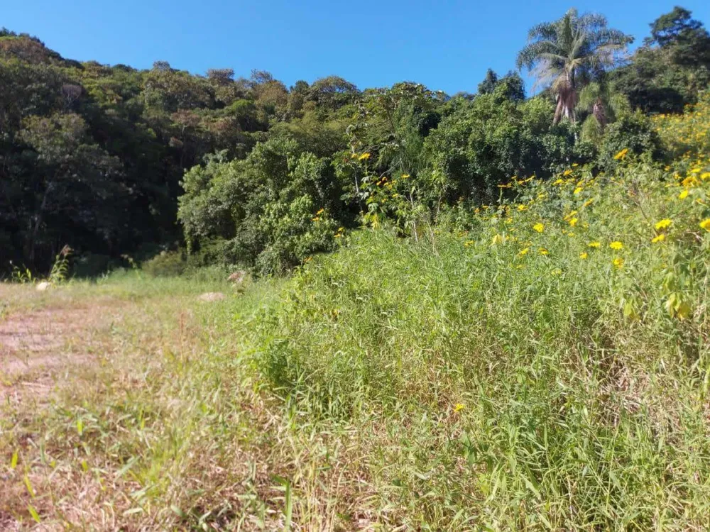 Terreno com imenso potencial comercial e residencial com 1932 m² em Camboriú.