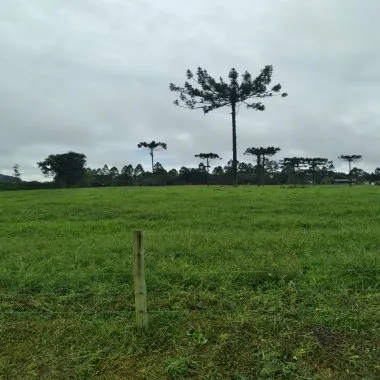Fazenda a venda em Salete SC Alto Vale do Itajaí Fazenda a venda em Salete SC Alto Vale do Itajaí