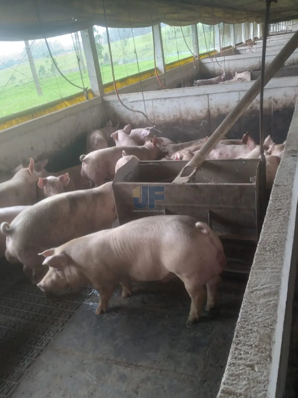 Fazenda a venda em Salete SC Alto Vale do Itajaí