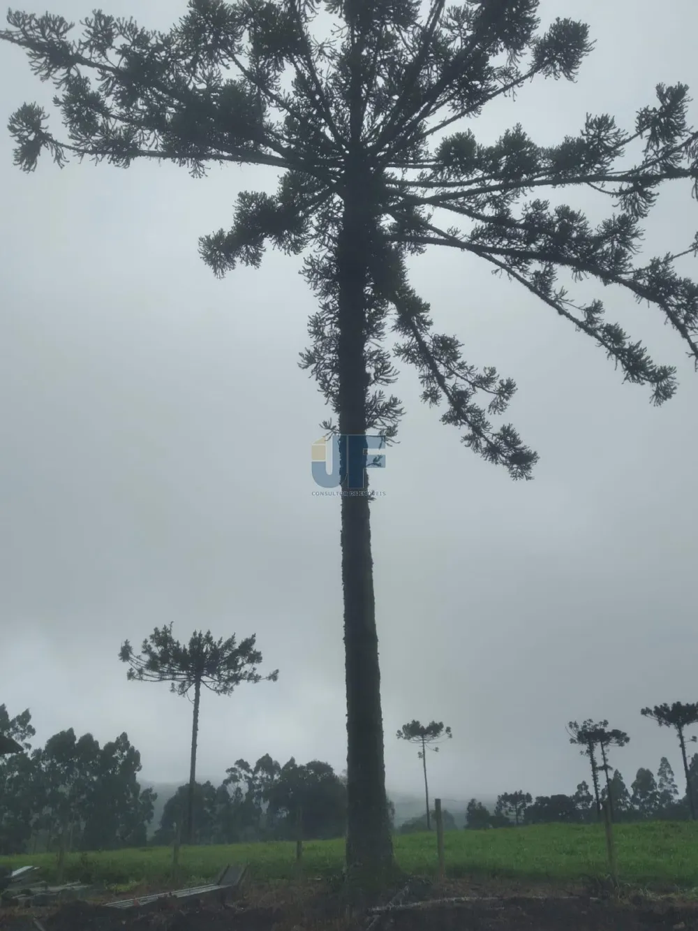Fazenda a venda em Salete SC Alto Vale do Itajaí
