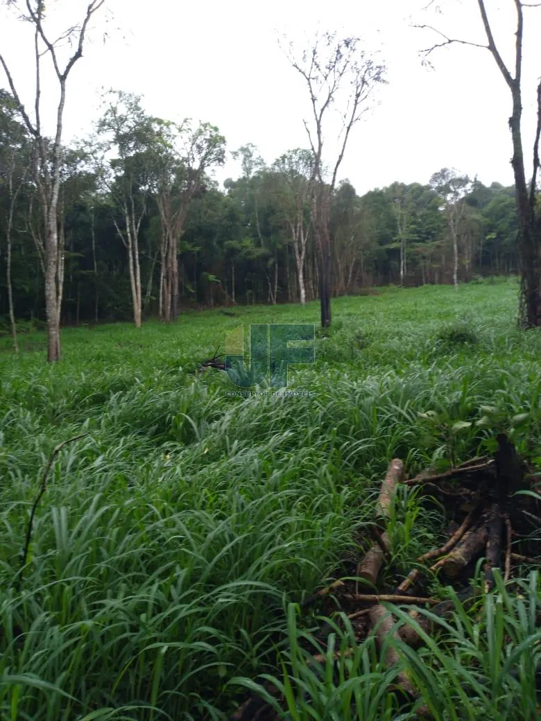 Fazenda a venda em Salete SC Alto Vale do Itajaí