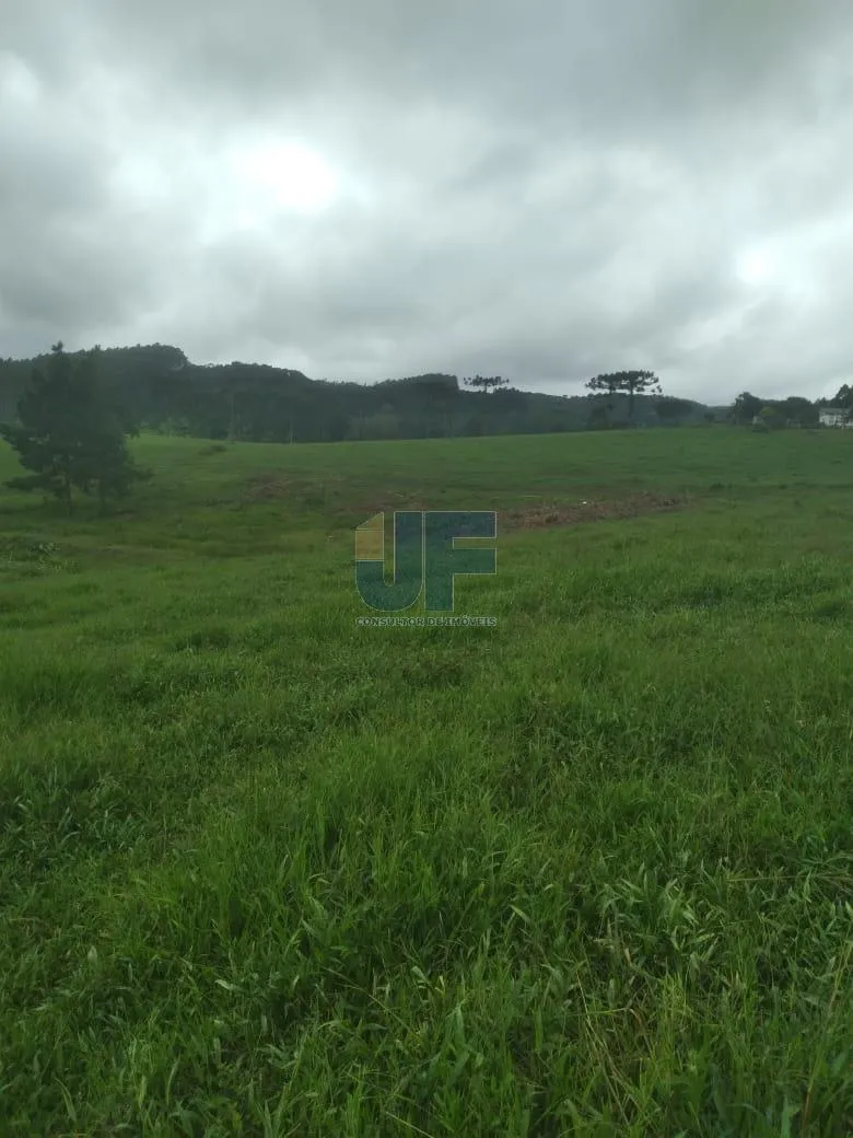 Fazenda a venda em Salete SC Alto Vale do Itajaí