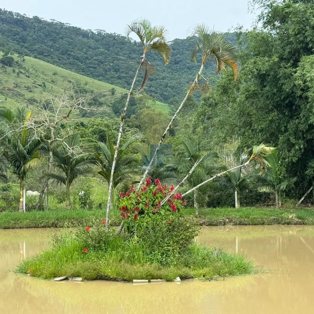 Esse sítio de alto padrão à venda em Camboriú, com estrutura completa e localiza