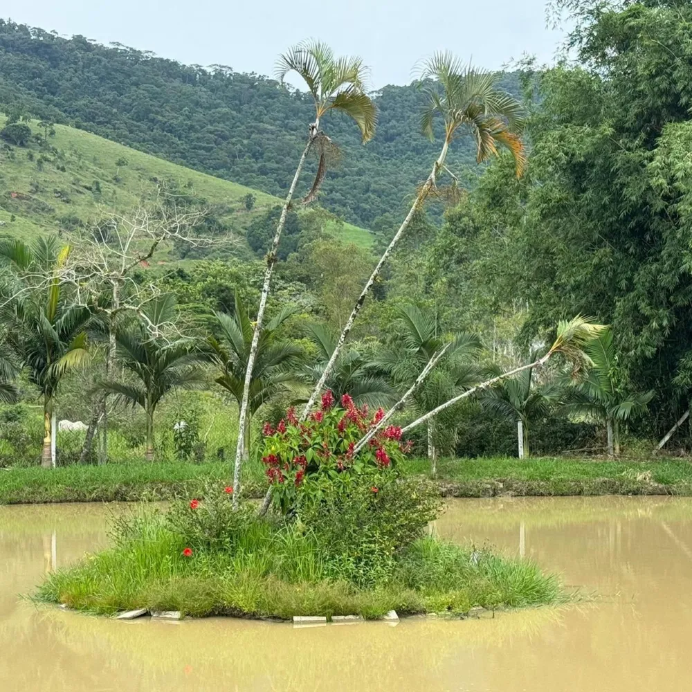 Esse sítio de alto padrão à venda em Camboriú, com estrutura completa e localiza
