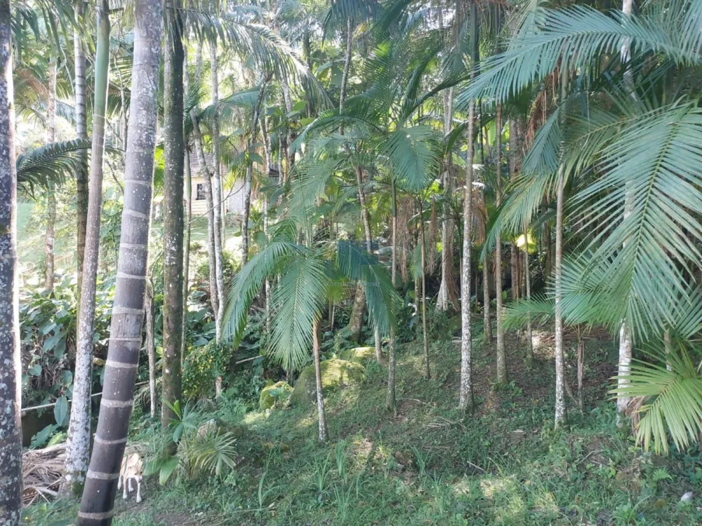 Esse sítio no bairro Limeira, em Brusque/SC, é uma excelente opção.
