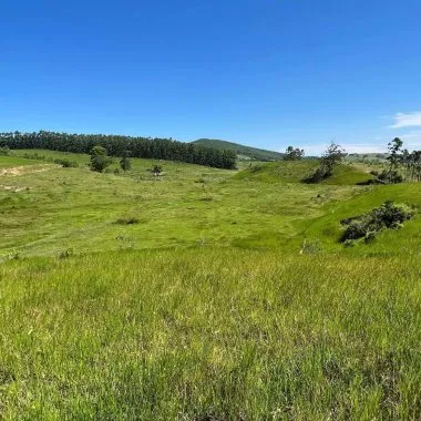 Essa fazenda em Imaruí é uma joia para quem busca investir na pecuária
