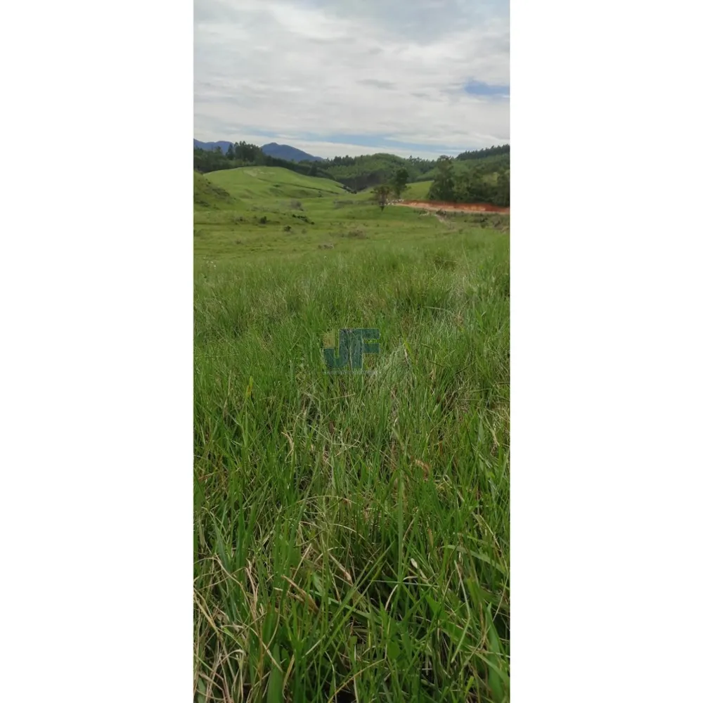 Essa fazenda em Imaruí é uma joia para quem busca investir na pecuária