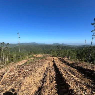 Esse terreno rural no bairro Braço, em Camboriú, é uma excelente oportunidade.