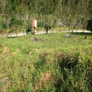 Excelente sitio na vila das Pedras em Camboriú. Possui 8.000 m² de área Excelente sitio na vila das Pedras em Camboriú. Possui 8.000 m² de área