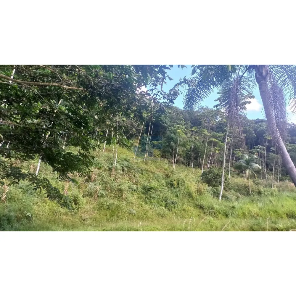 Sítio / Chácara 2 quartos para Venda no bairro Guarda Embau em Luiz Alves