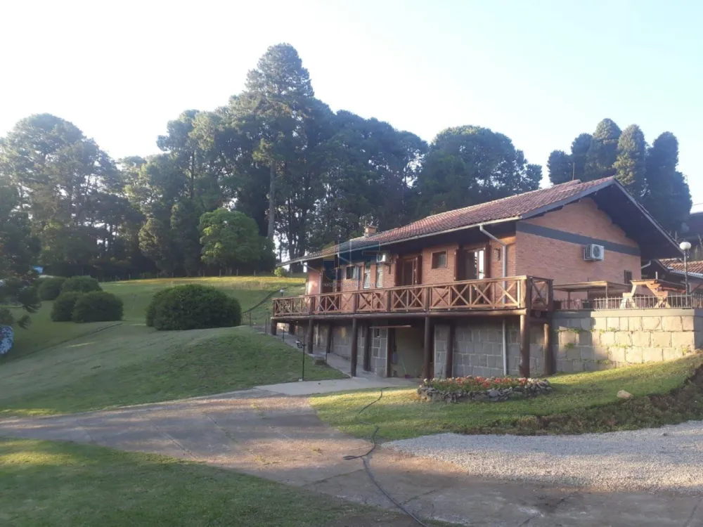 Oportunidade de investimento! Imóvel comercial localizado no Centro de São Francisco de Paula