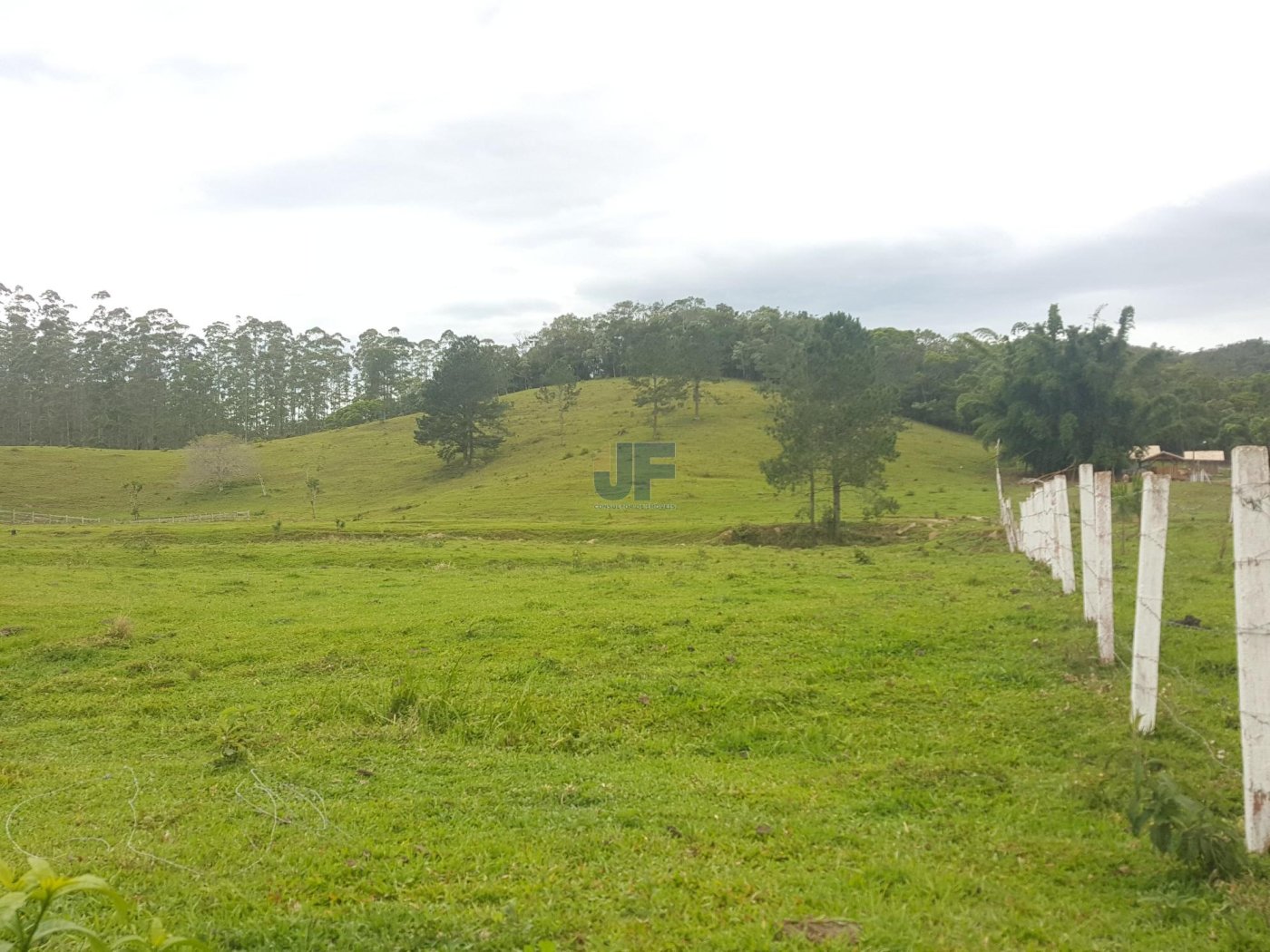 Sítio, 5 hectares - Foto 11