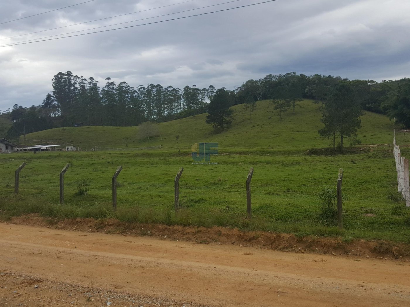 Sítio, 5 hectares - Foto 15
