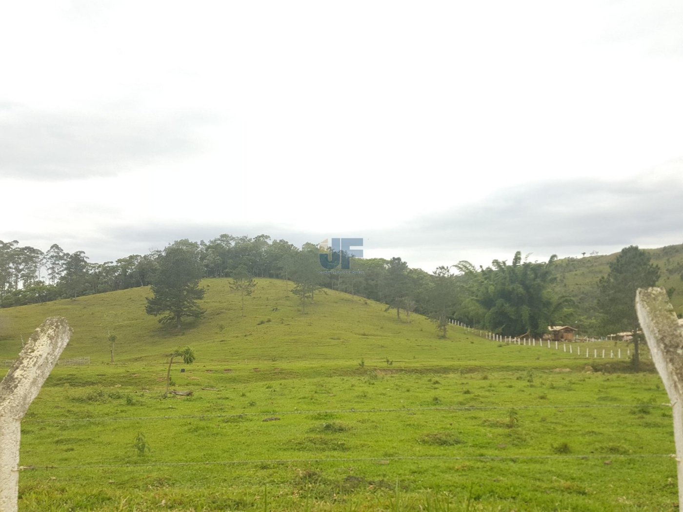 Sítio, 5 hectares - Foto 2