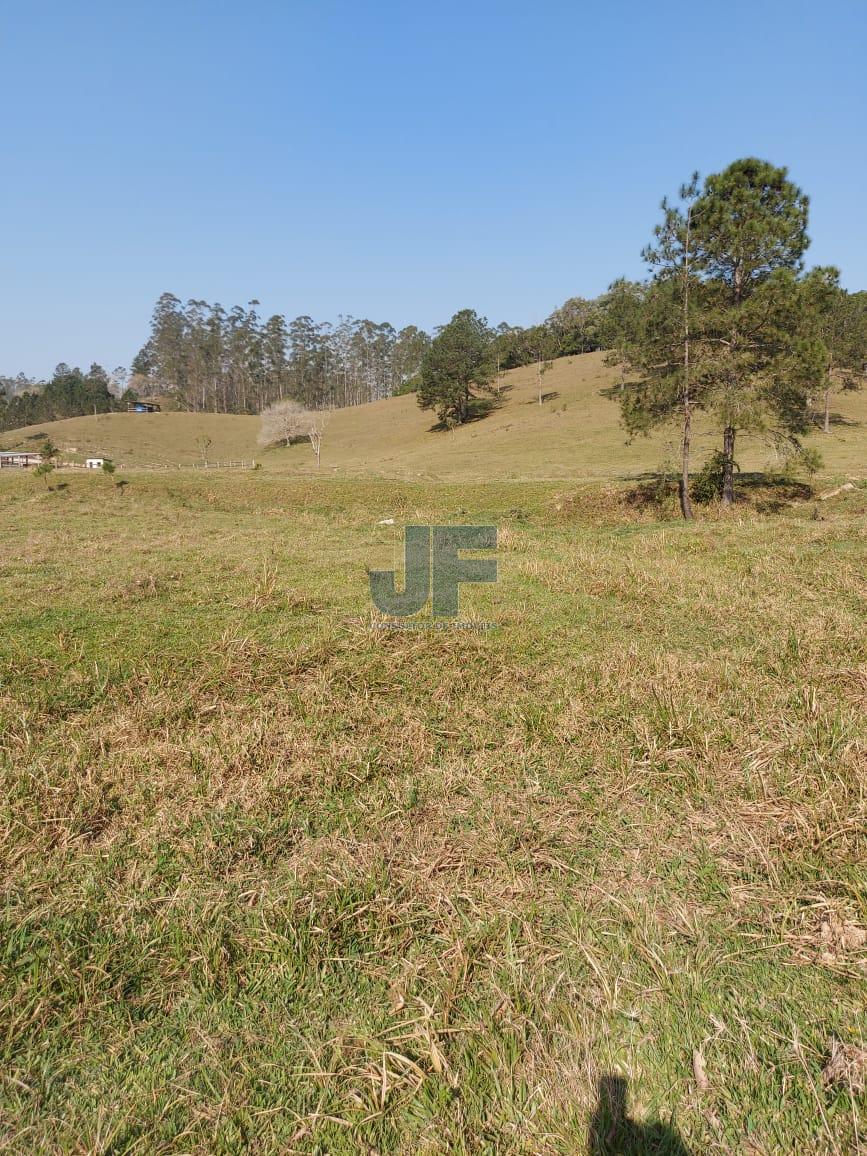 Sítio, 5 hectares - Foto 22