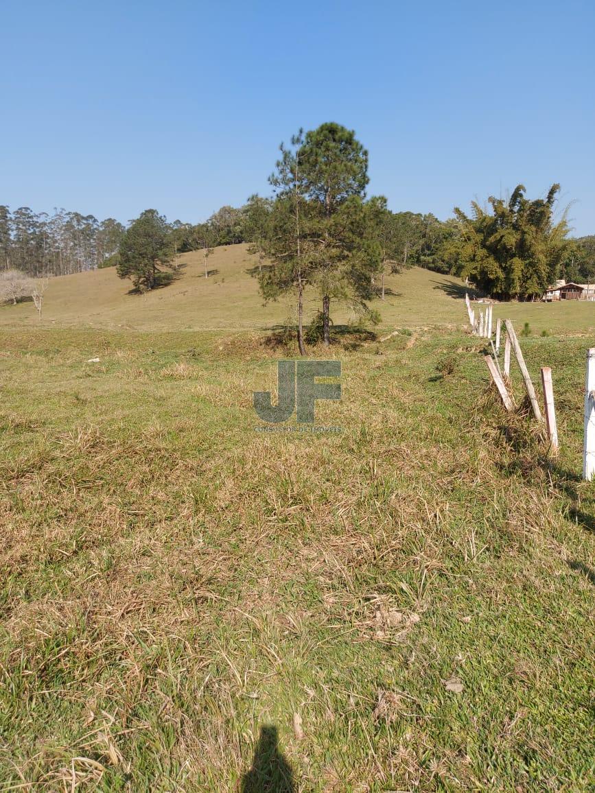 Sítio, 5 hectares - Foto 24