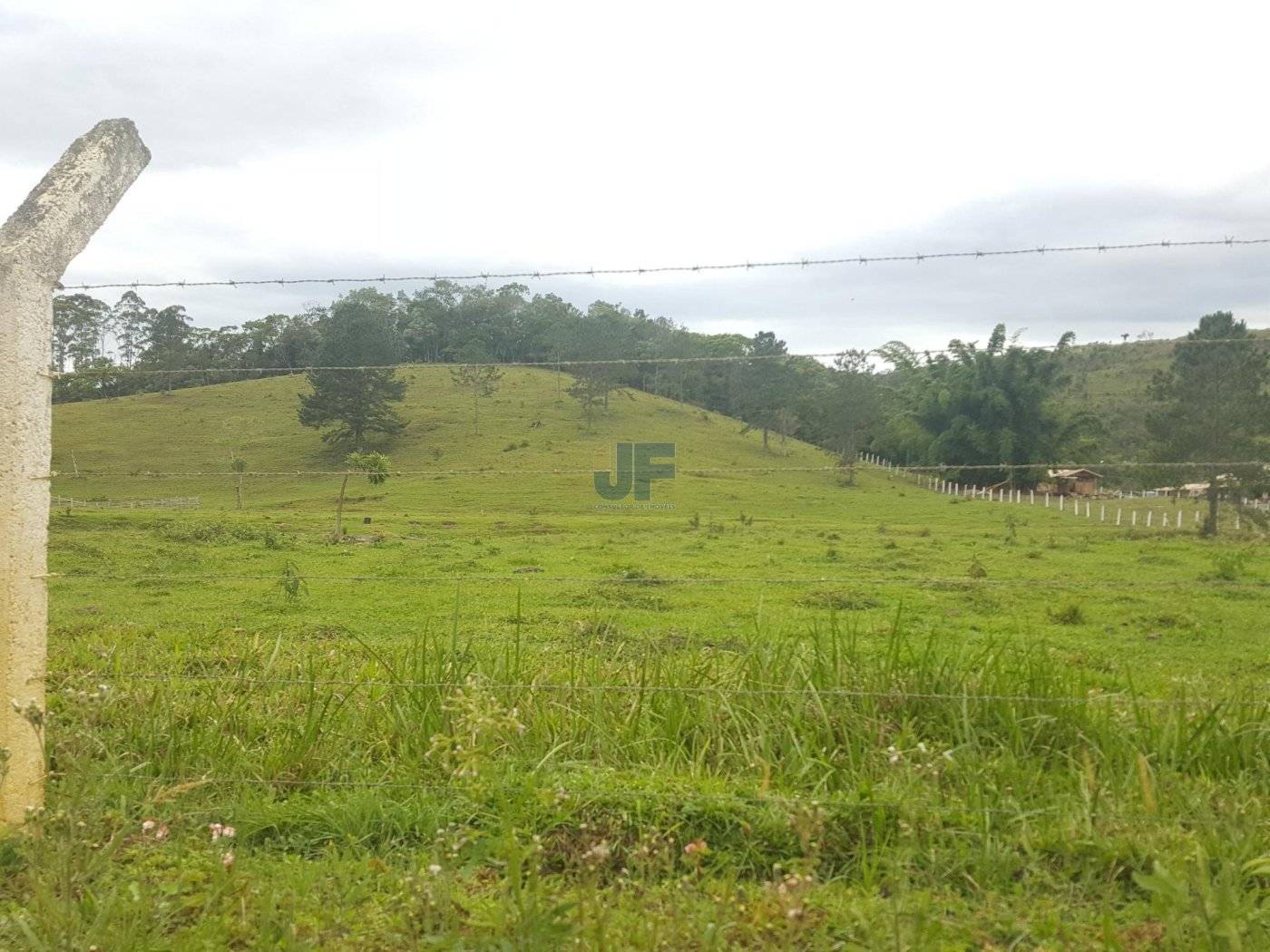 Sítio, 5 hectares - Foto 3