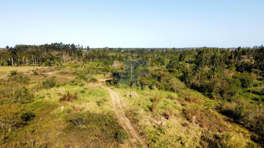 Terreno, 20 hectares - Foto 12