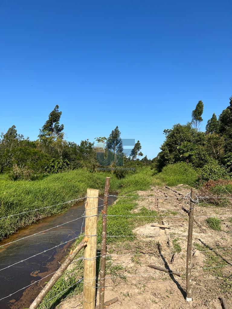 Terreno, 20 hectares - Foto 2