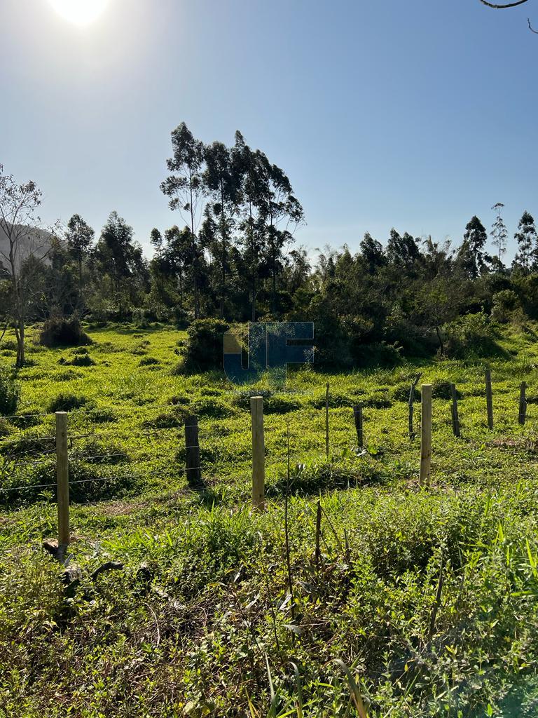 Terreno, 20 hectares - Foto 4