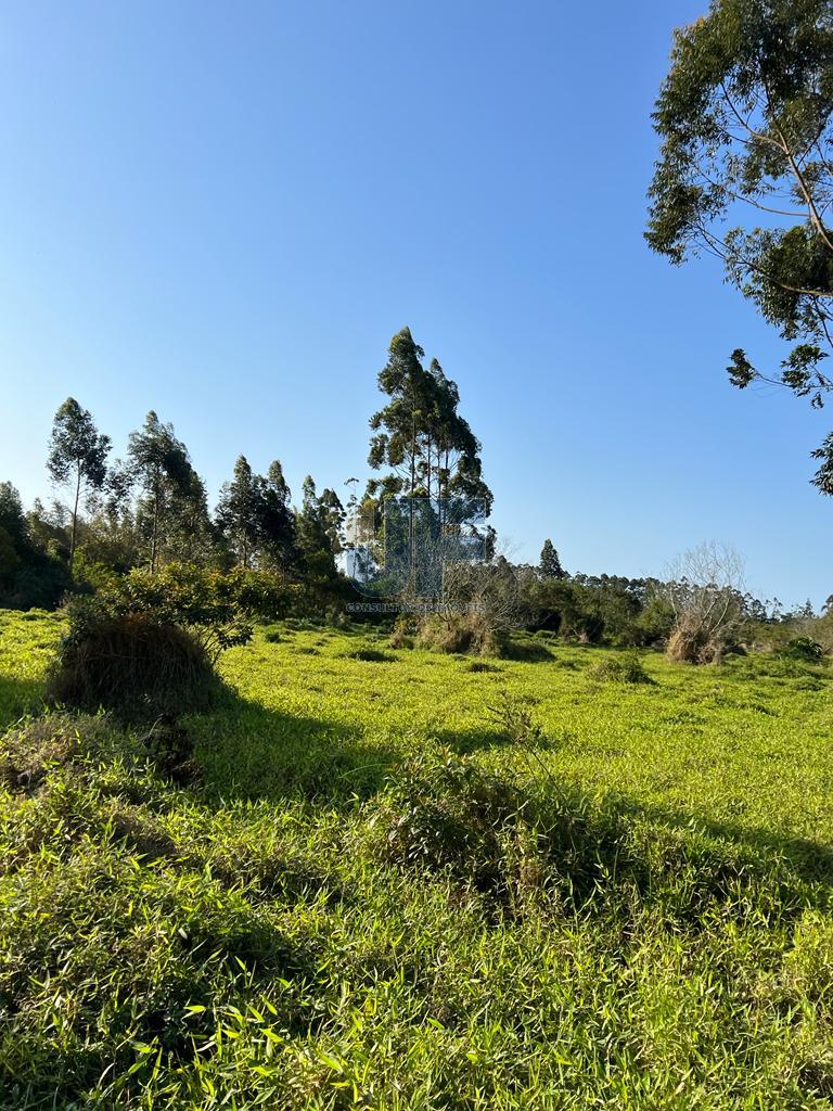 Terreno, 20 hectares - Foto 7