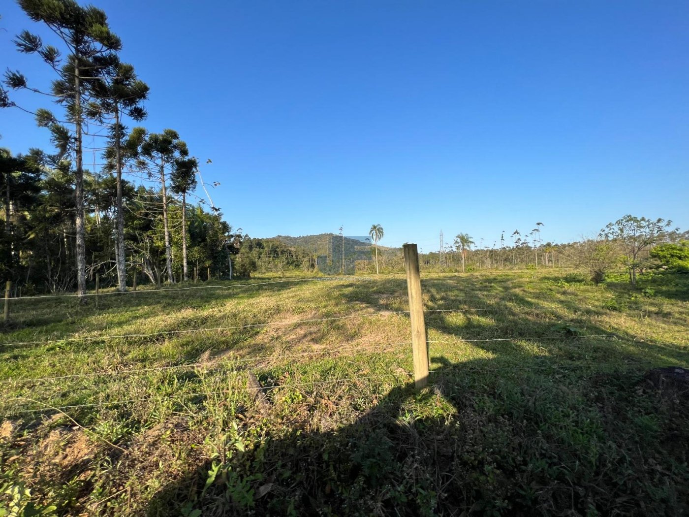 Terreno, 19 hectares - Foto 14