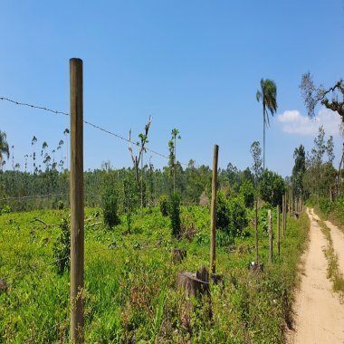 Linda área de terra com 19 hectares em Araquari/SC