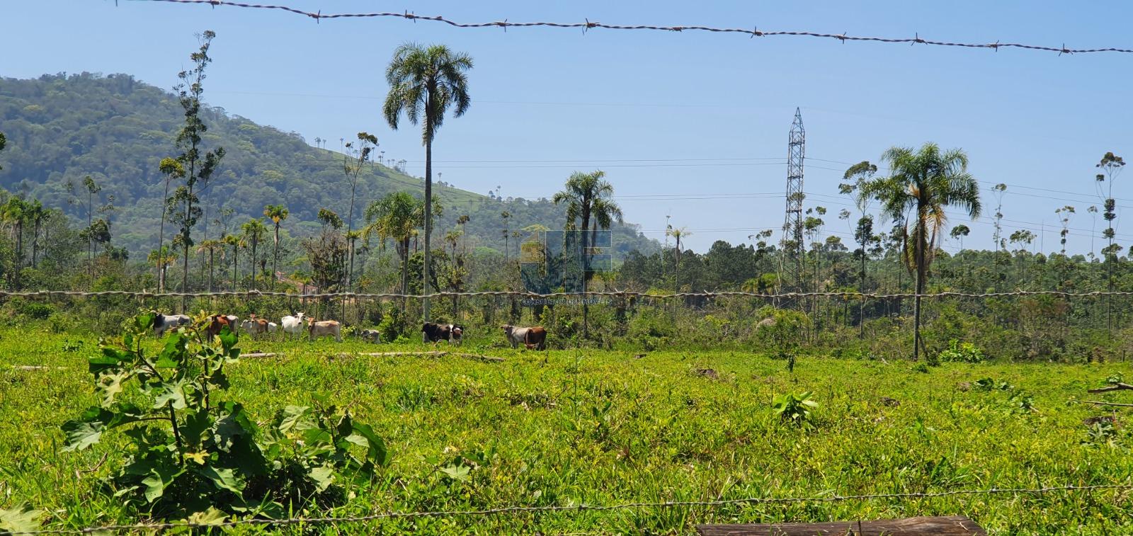 Terreno à venda, 190000m² - Foto 2