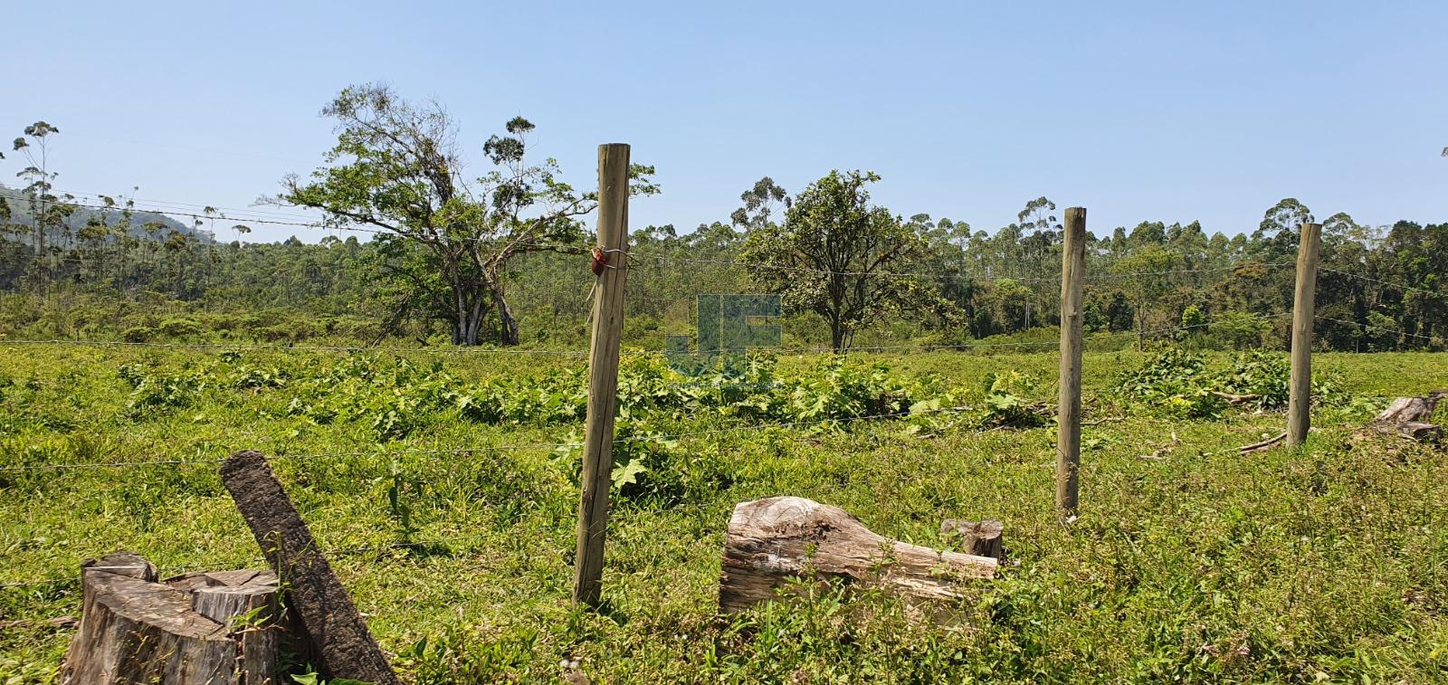 Terreno à venda, 190000m² - Foto 5