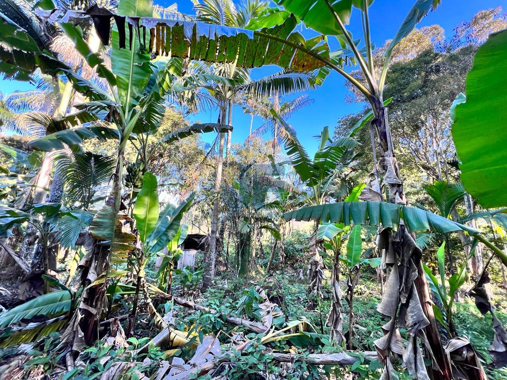 Fazenda à venda com 4 quartos, 20000m² - Foto 10