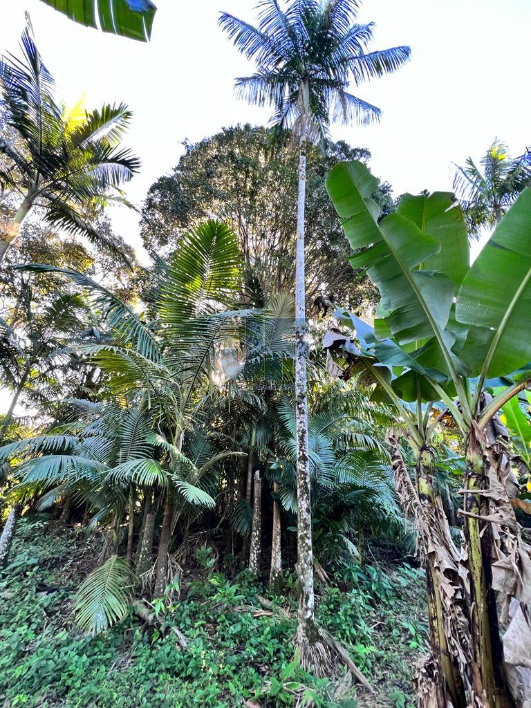 Fazenda à venda com 4 quartos, 20000m² - Foto 12