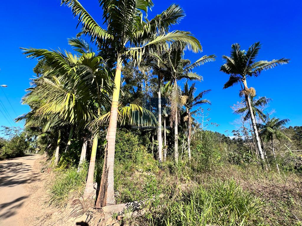 Fazenda à venda com 4 quartos, 20000m² - Foto 4