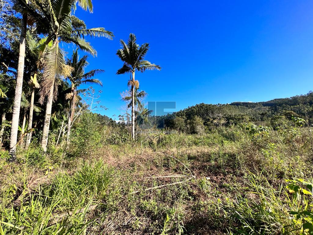 Fazenda à venda com 4 quartos, 20000m² - Foto 5