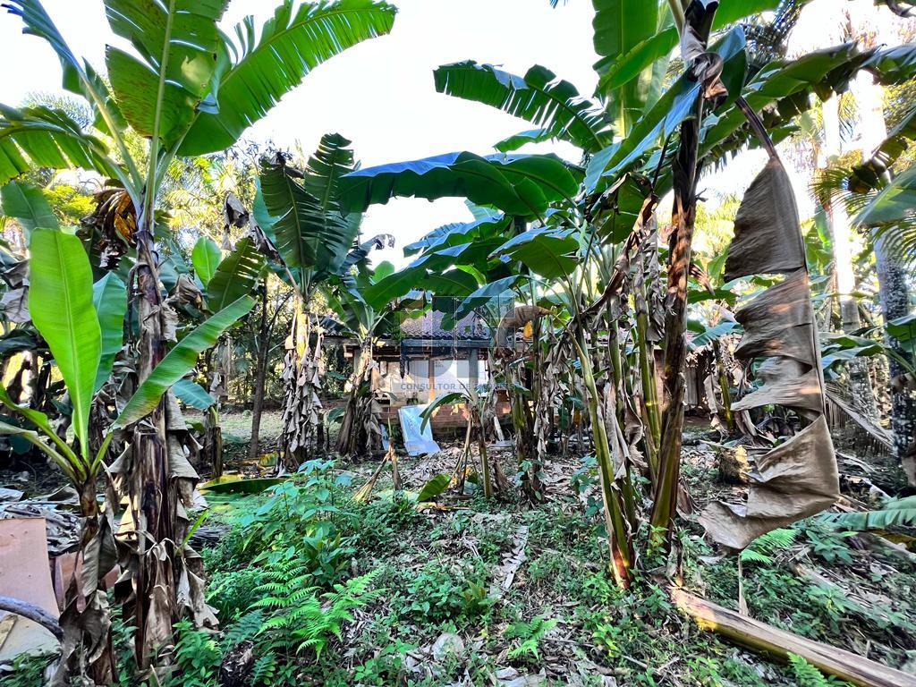 Fazenda à venda com 4 quartos, 20000m² - Foto 9