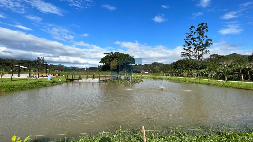 Fazenda à venda com 2 quartos, 13920m² - Foto 12