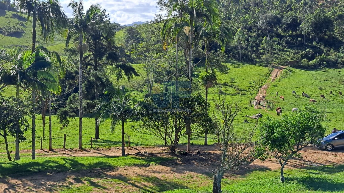 Terreno à venda, 160000m² - Foto 1