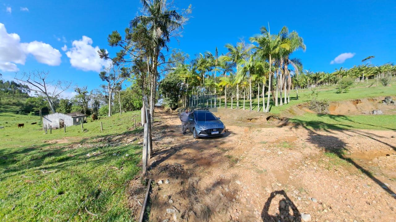 Terreno, 16 hectares - Foto 10
