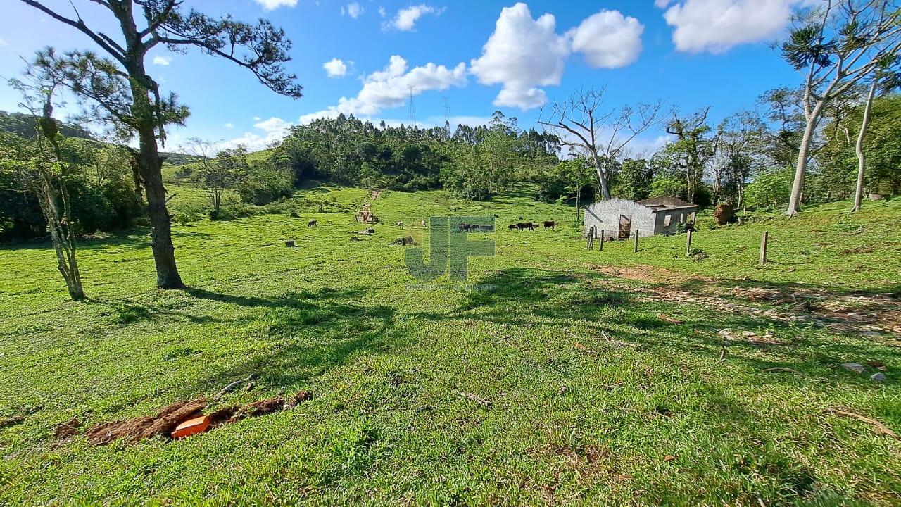Terreno, 16 hectares - Foto 11