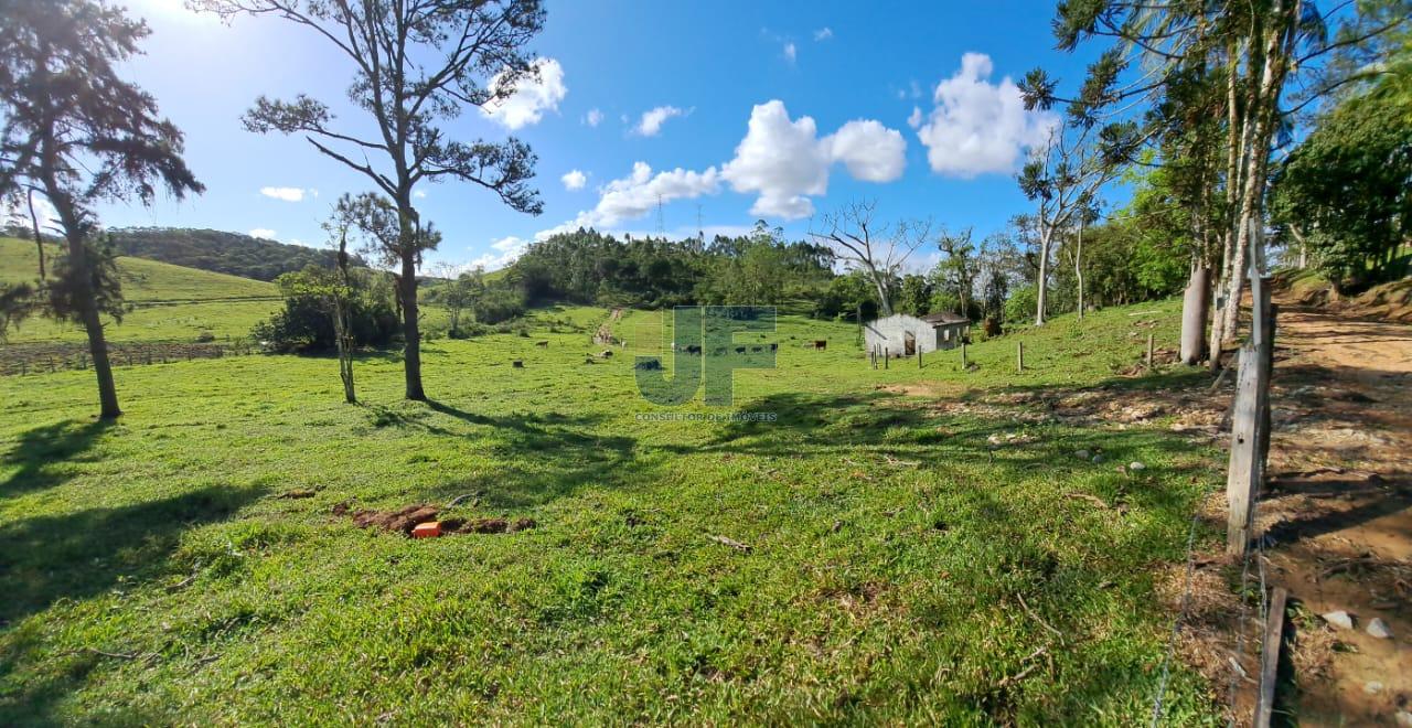 Terreno, 16 hectares - Foto 13