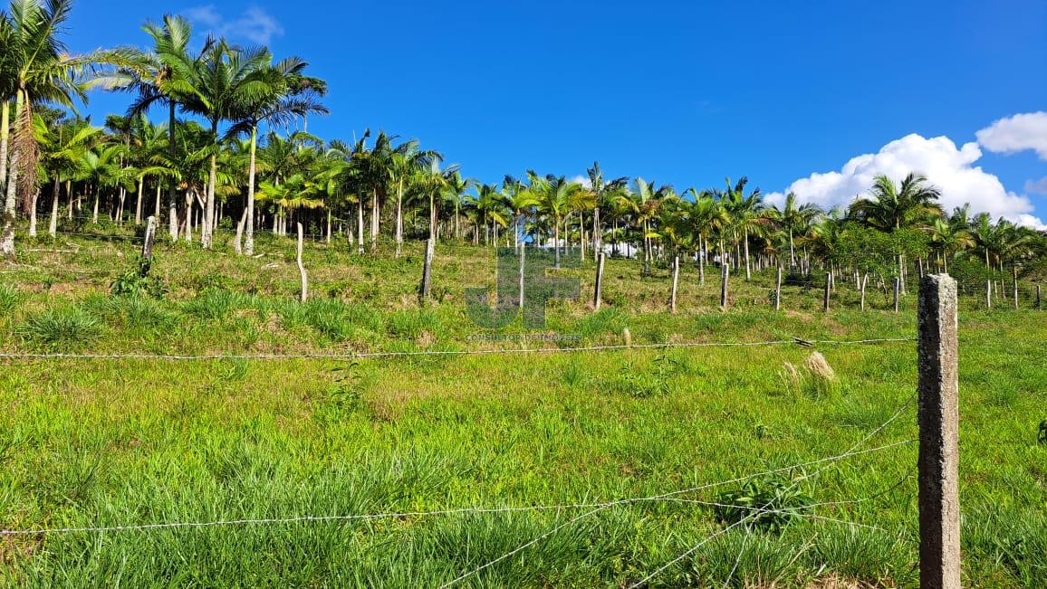 Terreno, 16 hectares - Foto 14