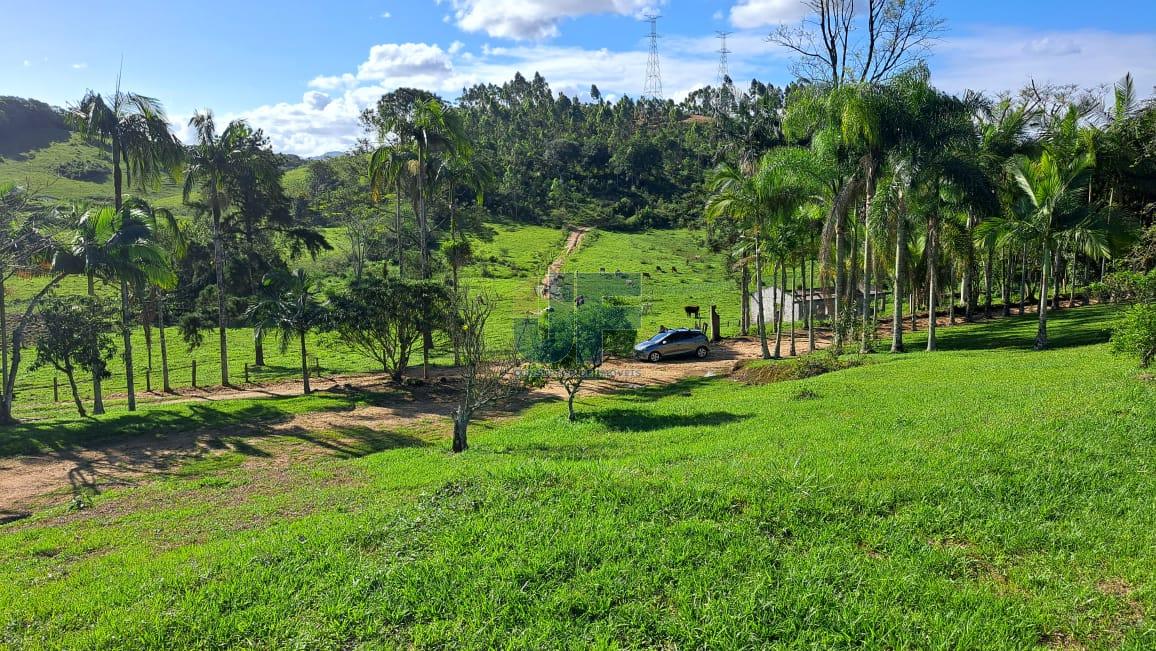Terreno, 16 hectares - Foto 15