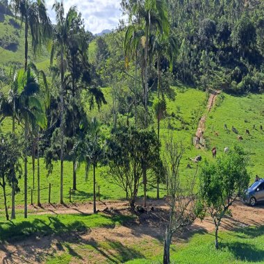 Área de 16 Hectares  Bairro Paciência - ITAJAI