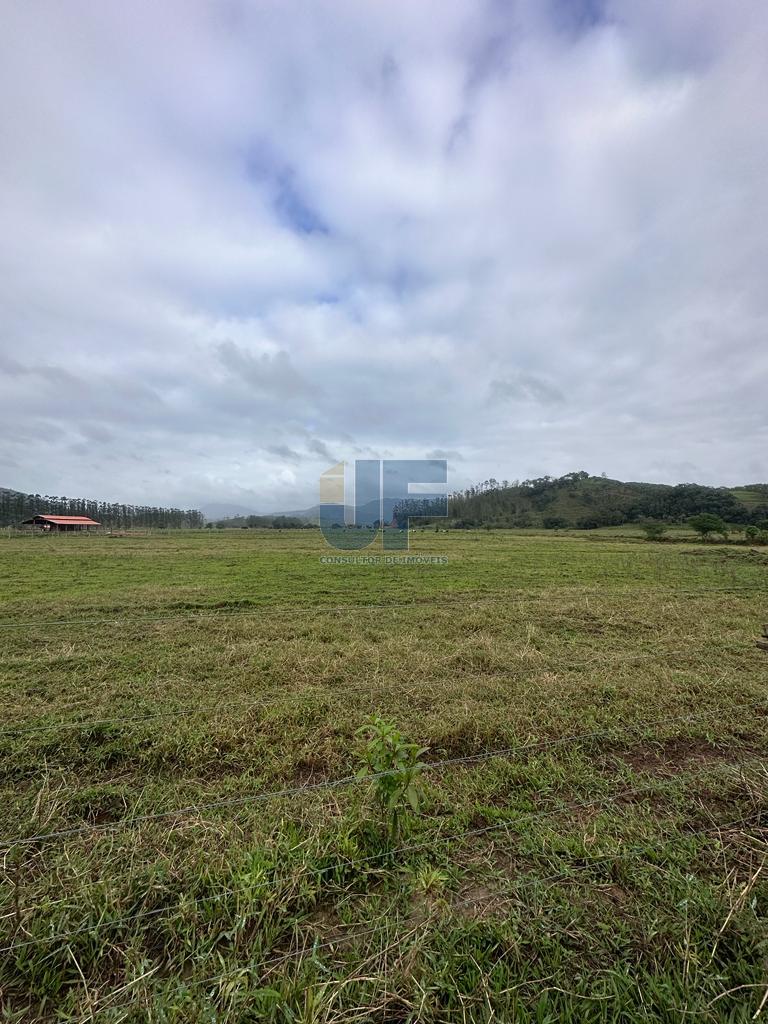 Terreno, 16 hectares - Foto 21