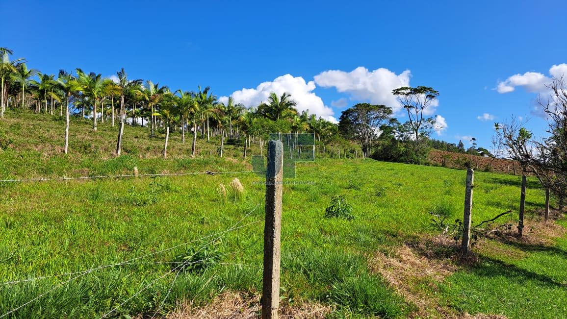Terreno, 16 hectares - Foto 3