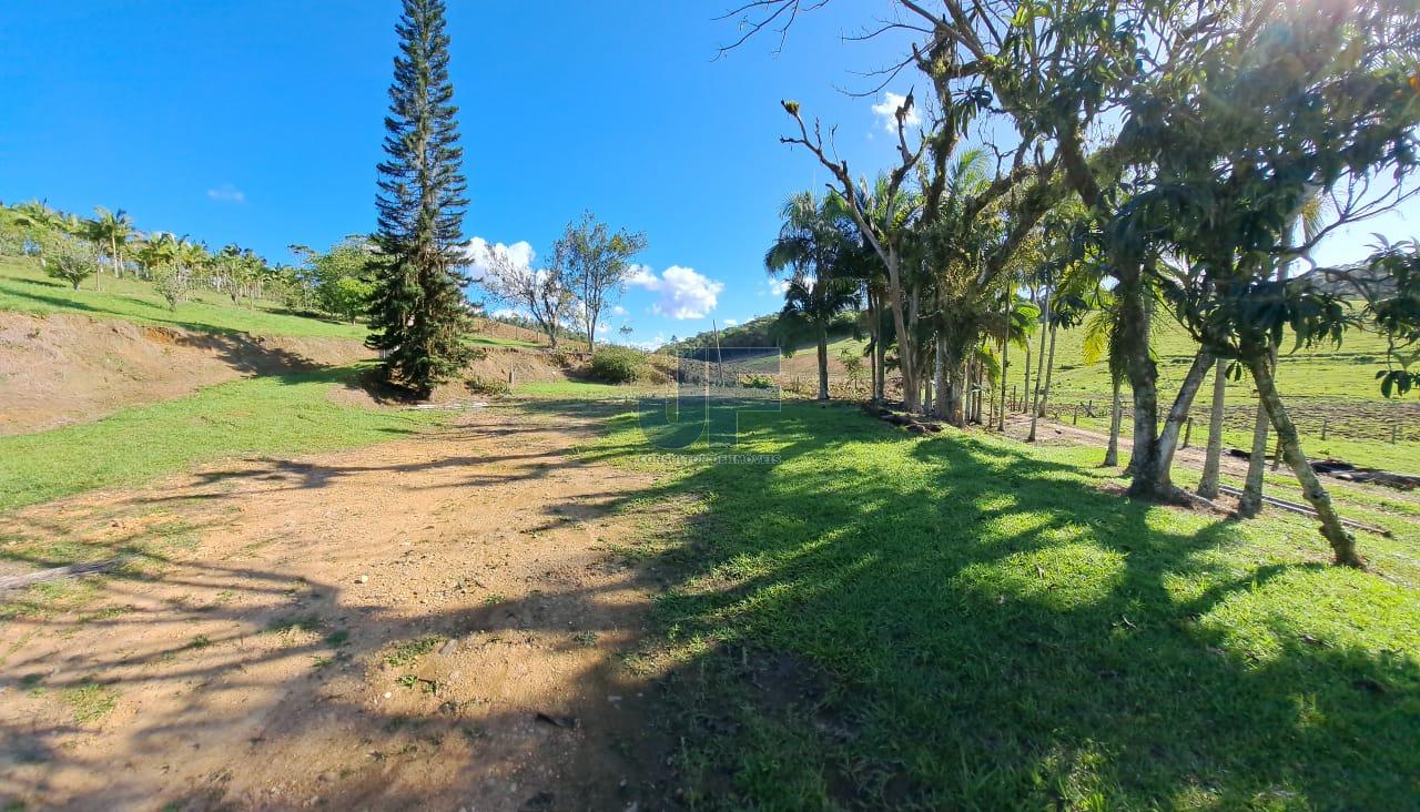 Terreno, 16 hectares - Foto 6