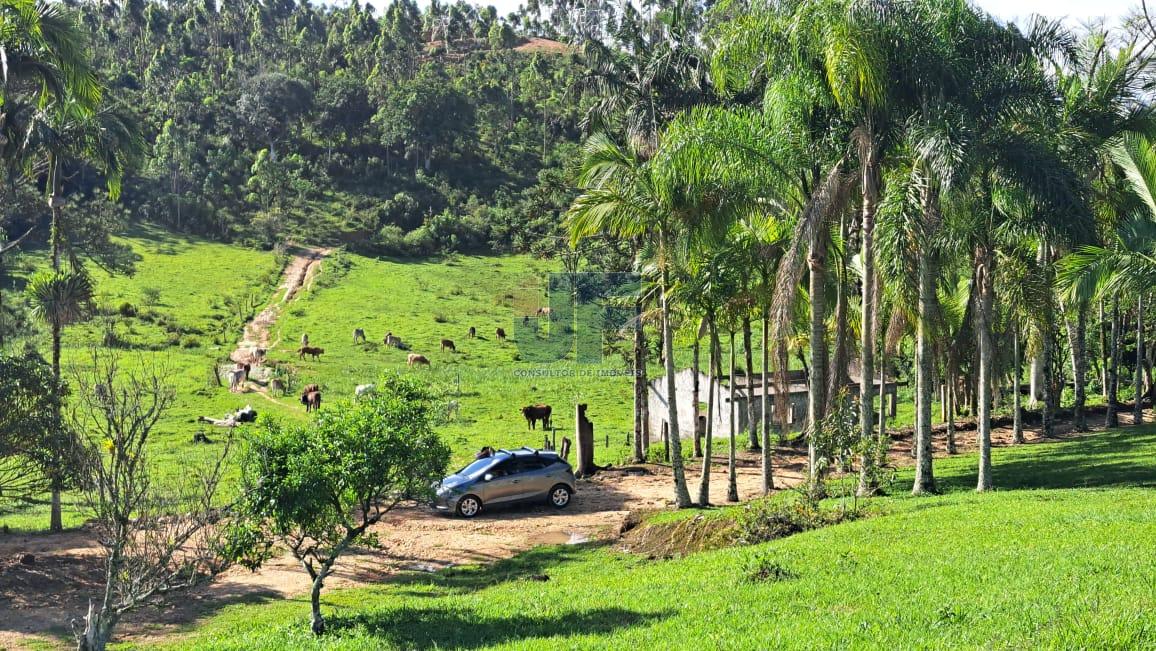 Terreno, 16 hectares - Foto 7