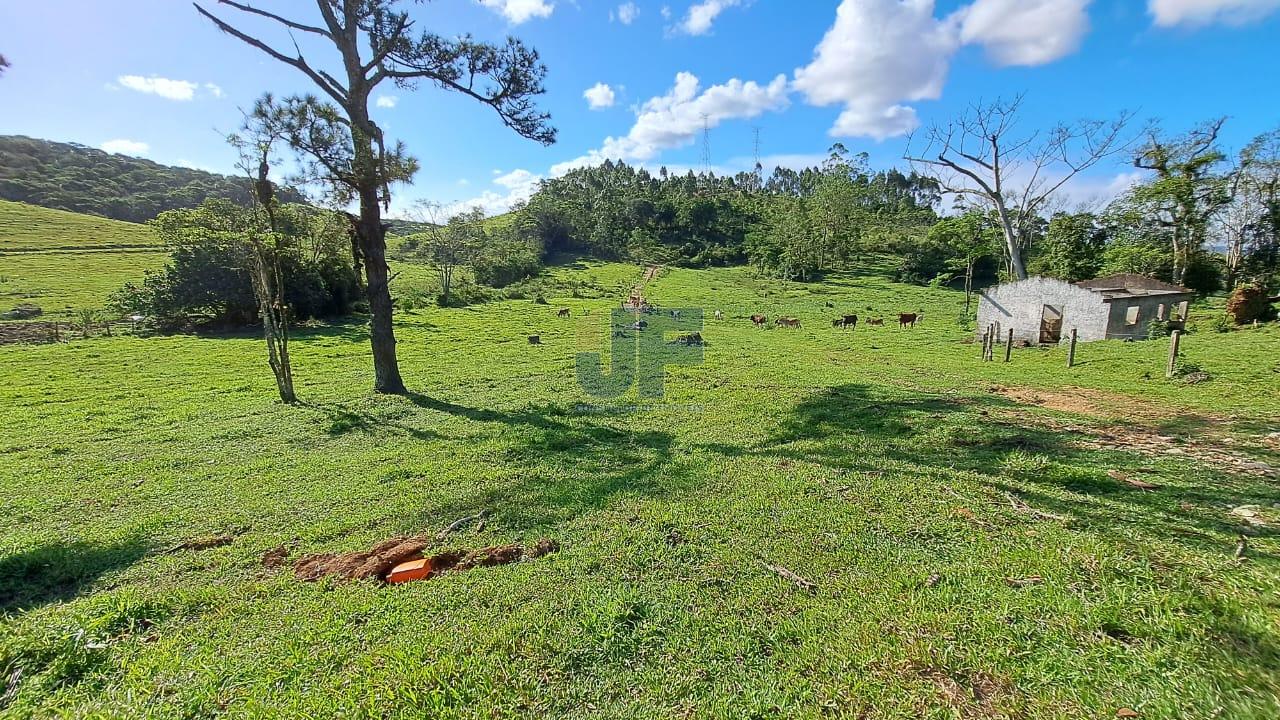 Terreno, 16 hectares - Foto 8