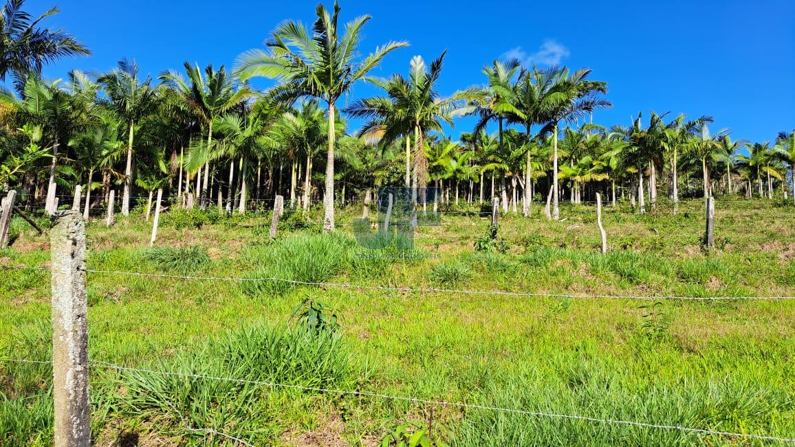 Terreno à venda, 160000m² - Foto 9